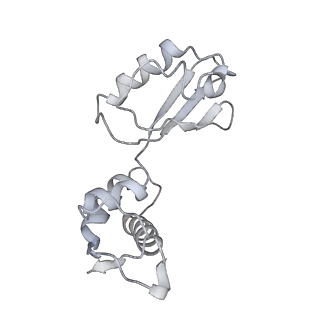 21622_6wd3_i_v1-2
Cryo-EM of elongating ribosome with EF-Tu*GTP elucidates tRNA proofreading (Cognate Structure II-B1)