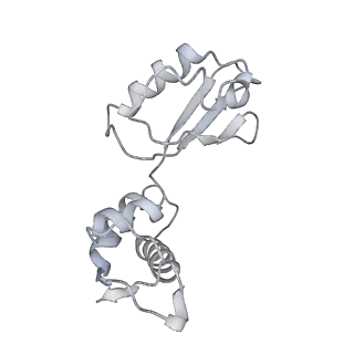 21622_6wd3_i_v1-3
Cryo-EM of elongating ribosome with EF-Tu*GTP elucidates tRNA proofreading (Cognate Structure II-B1)