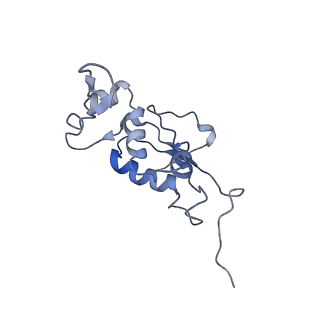 21622_6wd3_j_v1-2
Cryo-EM of elongating ribosome with EF-Tu*GTP elucidates tRNA proofreading (Cognate Structure II-B1)