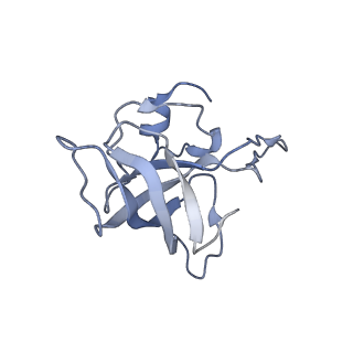 21622_6wd3_k_v1-2
Cryo-EM of elongating ribosome with EF-Tu*GTP elucidates tRNA proofreading (Cognate Structure II-B1)