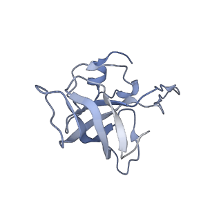 21622_6wd3_k_v1-3
Cryo-EM of elongating ribosome with EF-Tu*GTP elucidates tRNA proofreading (Cognate Structure II-B1)