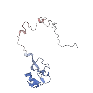 21622_6wd3_l_v1-2
Cryo-EM of elongating ribosome with EF-Tu*GTP elucidates tRNA proofreading (Cognate Structure II-B1)