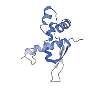 21622_6wd3_n_v1-2
Cryo-EM of elongating ribosome with EF-Tu*GTP elucidates tRNA proofreading (Cognate Structure II-B1)