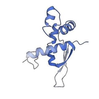 21622_6wd3_n_v1-3
Cryo-EM of elongating ribosome with EF-Tu*GTP elucidates tRNA proofreading (Cognate Structure II-B1)