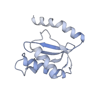 21622_6wd3_o_v1-2
Cryo-EM of elongating ribosome with EF-Tu*GTP elucidates tRNA proofreading (Cognate Structure II-B1)
