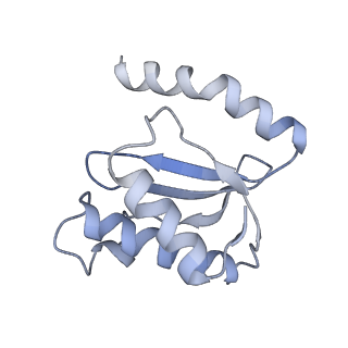 21622_6wd3_o_v1-3
Cryo-EM of elongating ribosome with EF-Tu*GTP elucidates tRNA proofreading (Cognate Structure II-B1)