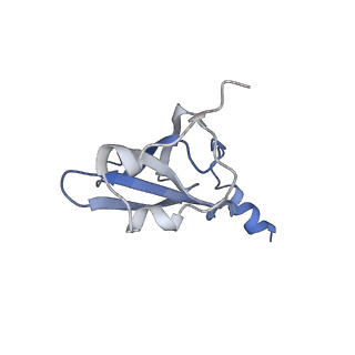 21622_6wd3_p_v1-2
Cryo-EM of elongating ribosome with EF-Tu*GTP elucidates tRNA proofreading (Cognate Structure II-B1)