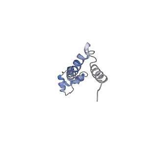 21622_6wd3_q_v1-2
Cryo-EM of elongating ribosome with EF-Tu*GTP elucidates tRNA proofreading (Cognate Structure II-B1)