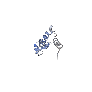 21622_6wd3_q_v1-3
Cryo-EM of elongating ribosome with EF-Tu*GTP elucidates tRNA proofreading (Cognate Structure II-B1)