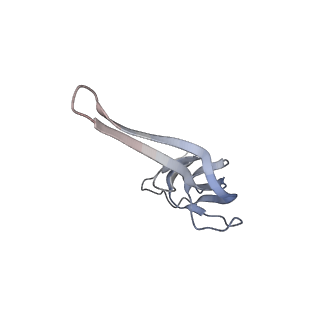 21622_6wd3_r_v1-2
Cryo-EM of elongating ribosome with EF-Tu*GTP elucidates tRNA proofreading (Cognate Structure II-B1)