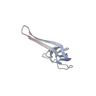 21622_6wd3_r_v1-3
Cryo-EM of elongating ribosome with EF-Tu*GTP elucidates tRNA proofreading (Cognate Structure II-B1)