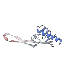 21622_6wd3_s_v1-2
Cryo-EM of elongating ribosome with EF-Tu*GTP elucidates tRNA proofreading (Cognate Structure II-B1)