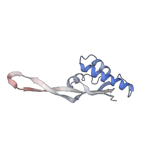 21622_6wd3_s_v1-3
Cryo-EM of elongating ribosome with EF-Tu*GTP elucidates tRNA proofreading (Cognate Structure II-B1)