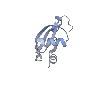 21622_6wd3_t_v1-2
Cryo-EM of elongating ribosome with EF-Tu*GTP elucidates tRNA proofreading (Cognate Structure II-B1)