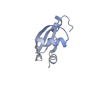 21622_6wd3_t_v1-3
Cryo-EM of elongating ribosome with EF-Tu*GTP elucidates tRNA proofreading (Cognate Structure II-B1)