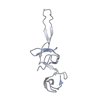 21622_6wd3_u_v1-2
Cryo-EM of elongating ribosome with EF-Tu*GTP elucidates tRNA proofreading (Cognate Structure II-B1)