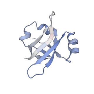 21622_6wd3_v_v1-2
Cryo-EM of elongating ribosome with EF-Tu*GTP elucidates tRNA proofreading (Cognate Structure II-B1)