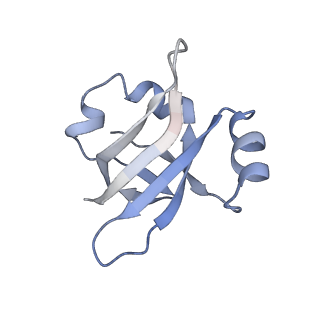 21622_6wd3_v_v1-3
Cryo-EM of elongating ribosome with EF-Tu*GTP elucidates tRNA proofreading (Cognate Structure II-B1)