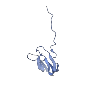 21622_6wd3_w_v1-2
Cryo-EM of elongating ribosome with EF-Tu*GTP elucidates tRNA proofreading (Cognate Structure II-B1)