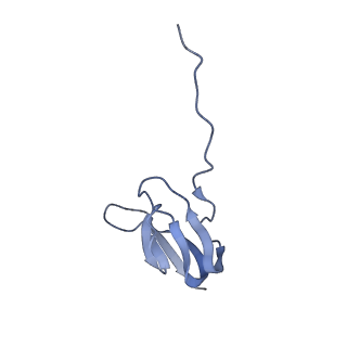 21622_6wd3_w_v1-3
Cryo-EM of elongating ribosome with EF-Tu*GTP elucidates tRNA proofreading (Cognate Structure II-B1)