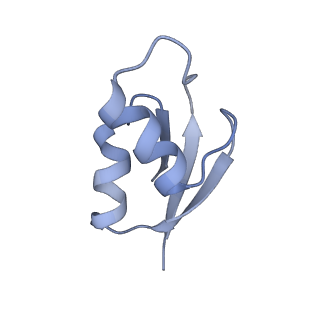 21622_6wd3_z_v1-2
Cryo-EM of elongating ribosome with EF-Tu*GTP elucidates tRNA proofreading (Cognate Structure II-B1)