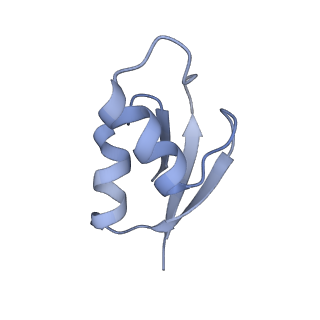 21622_6wd3_z_v1-3
Cryo-EM of elongating ribosome with EF-Tu*GTP elucidates tRNA proofreading (Cognate Structure II-B1)