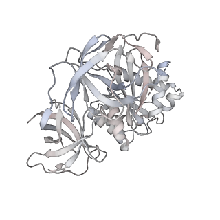 21623_6wd4_8_v1-2
Cryo-EM of elongating ribosome with EF-Tu*GTP elucidates tRNA proofreading (Cognate Structure II-B2)