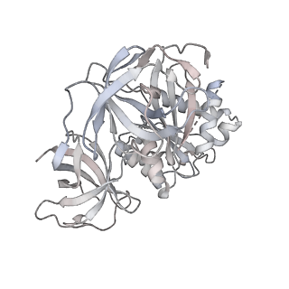 21623_6wd4_8_v1-3
Cryo-EM of elongating ribosome with EF-Tu*GTP elucidates tRNA proofreading (Cognate Structure II-B2)