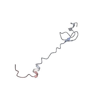 21623_6wd4_B_v1-2
Cryo-EM of elongating ribosome with EF-Tu*GTP elucidates tRNA proofreading (Cognate Structure II-B2)