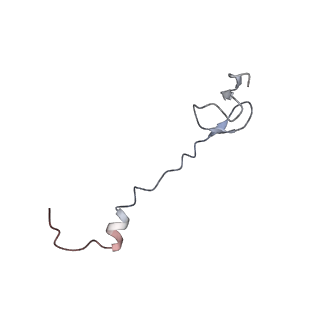 21623_6wd4_B_v1-3
Cryo-EM of elongating ribosome with EF-Tu*GTP elucidates tRNA proofreading (Cognate Structure II-B2)