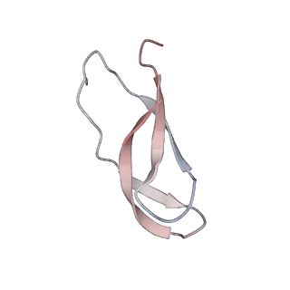 21623_6wd4_C_v1-3
Cryo-EM of elongating ribosome with EF-Tu*GTP elucidates tRNA proofreading (Cognate Structure II-B2)