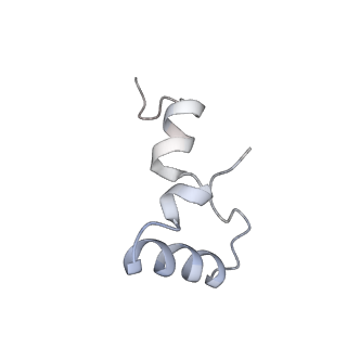21623_6wd4_D_v1-2
Cryo-EM of elongating ribosome with EF-Tu*GTP elucidates tRNA proofreading (Cognate Structure II-B2)