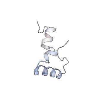 21623_6wd4_D_v1-3
Cryo-EM of elongating ribosome with EF-Tu*GTP elucidates tRNA proofreading (Cognate Structure II-B2)