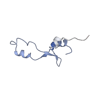 21623_6wd4_E_v1-2
Cryo-EM of elongating ribosome with EF-Tu*GTP elucidates tRNA proofreading (Cognate Structure II-B2)