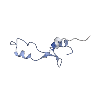 21623_6wd4_E_v1-3
Cryo-EM of elongating ribosome with EF-Tu*GTP elucidates tRNA proofreading (Cognate Structure II-B2)