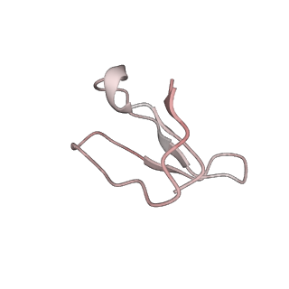 21623_6wd4_F_v1-2
Cryo-EM of elongating ribosome with EF-Tu*GTP elucidates tRNA proofreading (Cognate Structure II-B2)