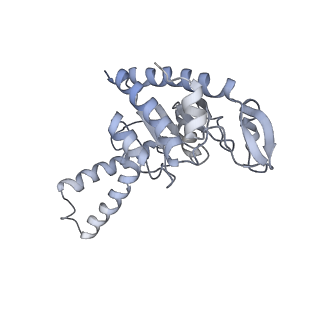 21623_6wd4_G_v1-2
Cryo-EM of elongating ribosome with EF-Tu*GTP elucidates tRNA proofreading (Cognate Structure II-B2)