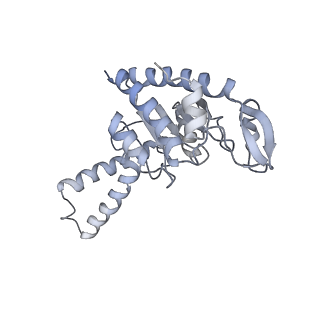 21623_6wd4_G_v1-3
Cryo-EM of elongating ribosome with EF-Tu*GTP elucidates tRNA proofreading (Cognate Structure II-B2)