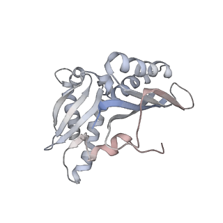 21623_6wd4_H_v1-2
Cryo-EM of elongating ribosome with EF-Tu*GTP elucidates tRNA proofreading (Cognate Structure II-B2)