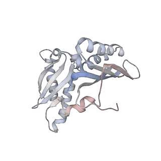 21623_6wd4_H_v1-3
Cryo-EM of elongating ribosome with EF-Tu*GTP elucidates tRNA proofreading (Cognate Structure II-B2)