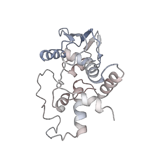 21623_6wd4_I_v1-2
Cryo-EM of elongating ribosome with EF-Tu*GTP elucidates tRNA proofreading (Cognate Structure II-B2)