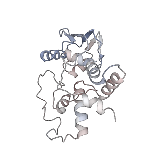 21623_6wd4_I_v1-3
Cryo-EM of elongating ribosome with EF-Tu*GTP elucidates tRNA proofreading (Cognate Structure II-B2)