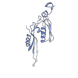21623_6wd4_J_v1-2
Cryo-EM of elongating ribosome with EF-Tu*GTP elucidates tRNA proofreading (Cognate Structure II-B2)
