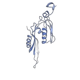 21623_6wd4_J_v1-3
Cryo-EM of elongating ribosome with EF-Tu*GTP elucidates tRNA proofreading (Cognate Structure II-B2)