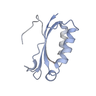 21623_6wd4_K_v1-2
Cryo-EM of elongating ribosome with EF-Tu*GTP elucidates tRNA proofreading (Cognate Structure II-B2)