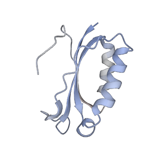 21623_6wd4_K_v1-3
Cryo-EM of elongating ribosome with EF-Tu*GTP elucidates tRNA proofreading (Cognate Structure II-B2)