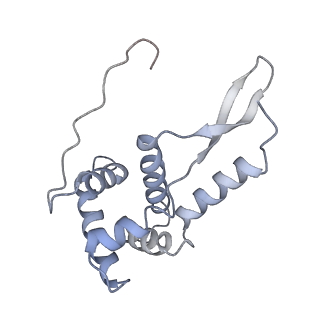 21623_6wd4_L_v1-2
Cryo-EM of elongating ribosome with EF-Tu*GTP elucidates tRNA proofreading (Cognate Structure II-B2)