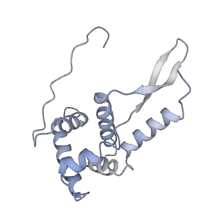 21623_6wd4_L_v1-3
Cryo-EM of elongating ribosome with EF-Tu*GTP elucidates tRNA proofreading (Cognate Structure II-B2)