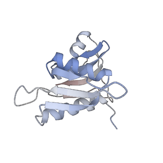 21623_6wd4_M_v1-2
Cryo-EM of elongating ribosome with EF-Tu*GTP elucidates tRNA proofreading (Cognate Structure II-B2)