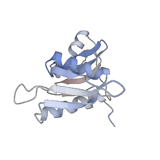 21623_6wd4_M_v1-3
Cryo-EM of elongating ribosome with EF-Tu*GTP elucidates tRNA proofreading (Cognate Structure II-B2)